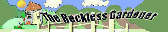 Title - The Reckless Gardener