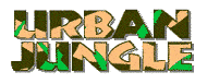 Urban Jungle, exotic plants, tropical plants, jungle plants.